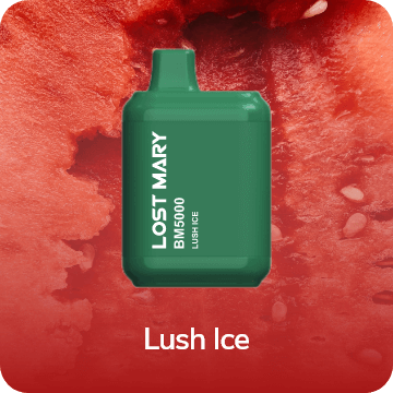 Lost Mary BM5000 Disposable Vape - 5,000 Puffs