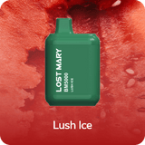 Lost Mary BM5000 Disposable Vape - 5,000 Puffs
