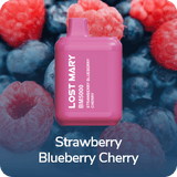 Lost Mary BM5000 Disposable Vape - 5,000 Puffs