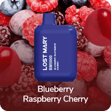Lost Mary BM5000 Disposable Vape - 5,000 Puffs