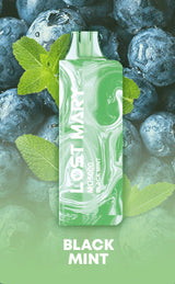 Lost Mary MO5000 Disposable Vape - 5,000 Puffs
